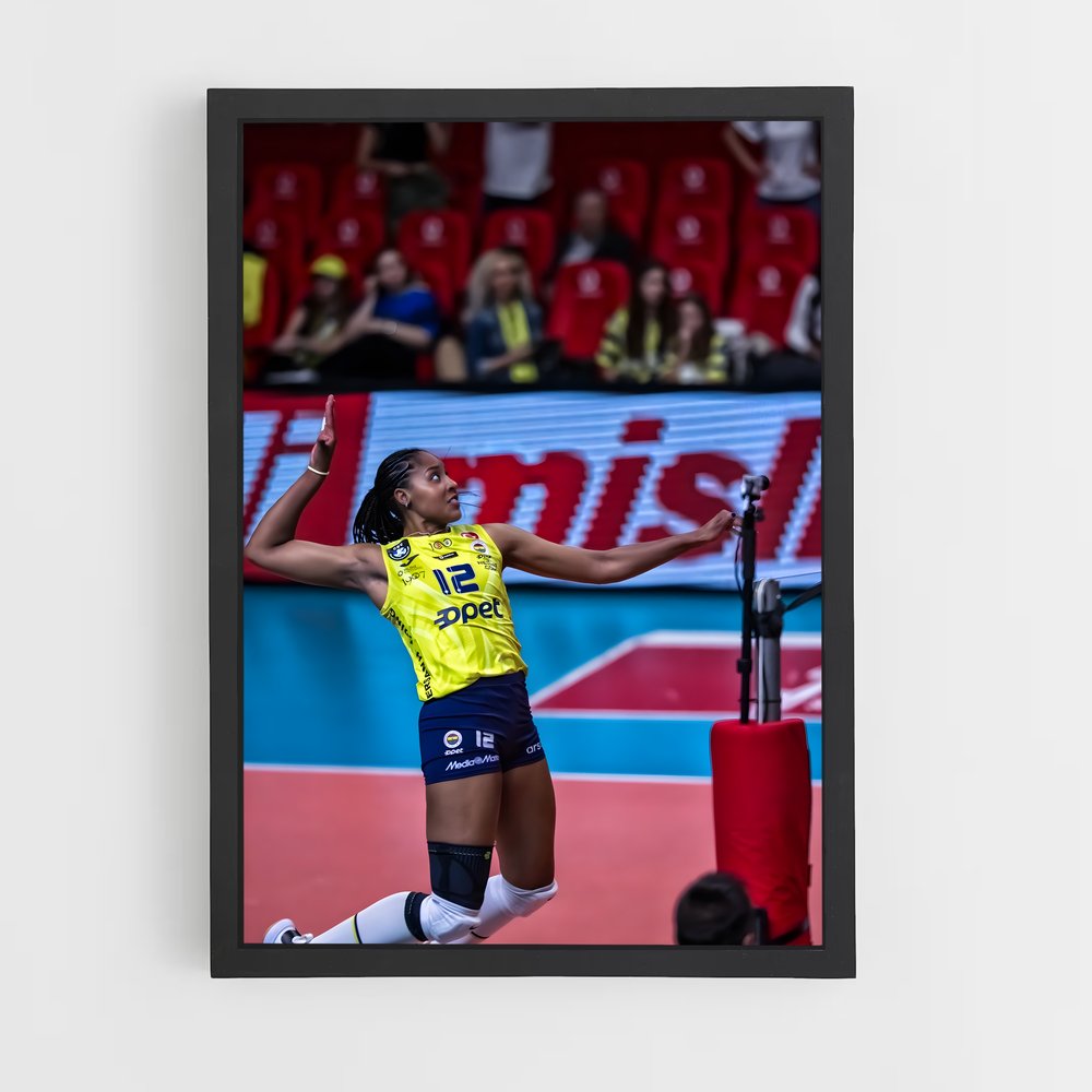 Poster Ana de cristina souza – affiche Volleyball (vue 2)